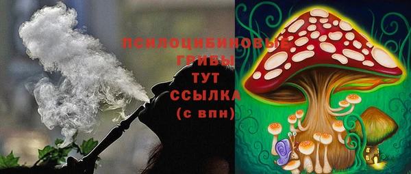 крисы Белоозёрский