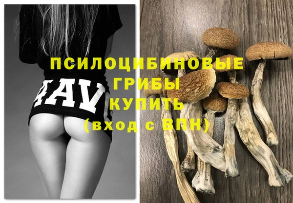 mdpv Белокуриха