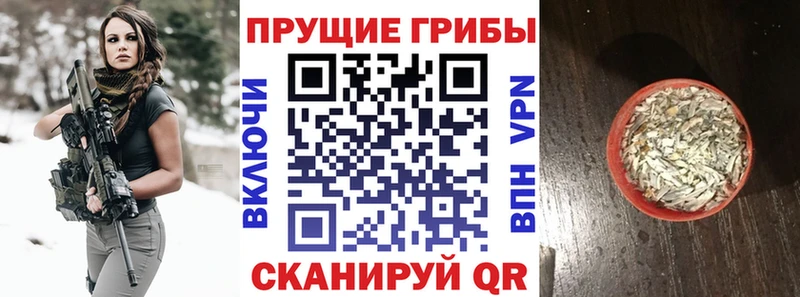цены наркотик  Кола  Псилоцибиновые грибы MAGIC MUSHROOMS 